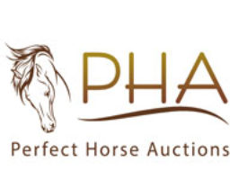 perfect-horse-auctions