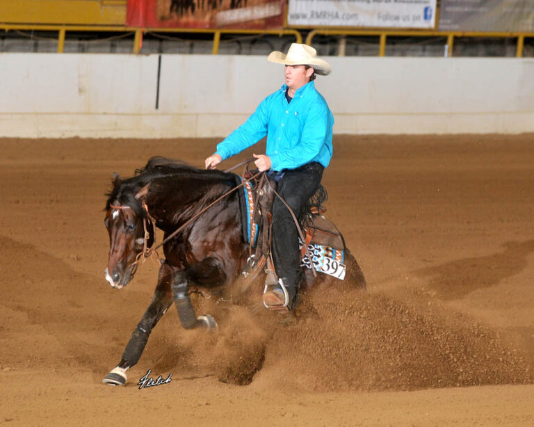 STALLION STAKES PROGRAM DETAILS Rocky Mountain Reining Horse Association